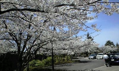f0164794_140443.jpg