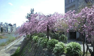 f0164794_144149.jpg