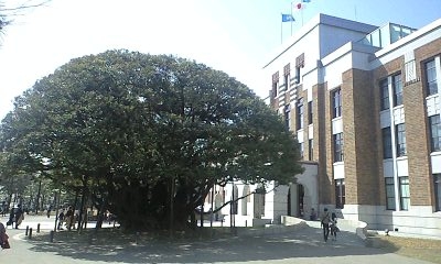 f0164794_1473126.jpg