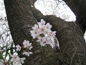 f0201297_19452727.jpg