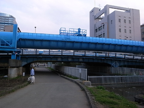 e0043700_191197.jpg