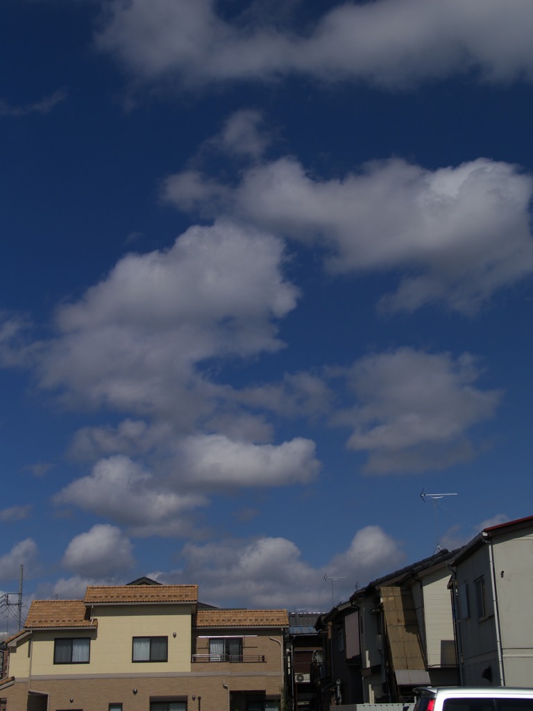 f0224100_527272.jpg