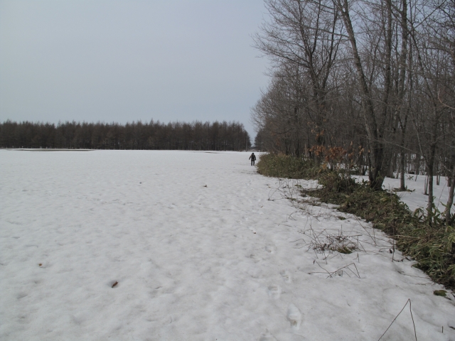 f0020302_2158574.jpg
