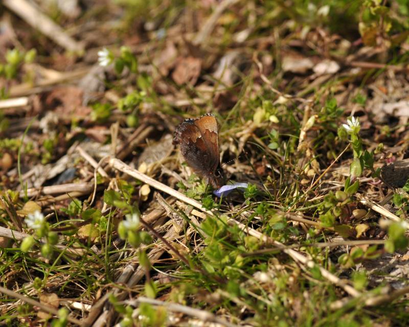 e0103903_17415240.jpg