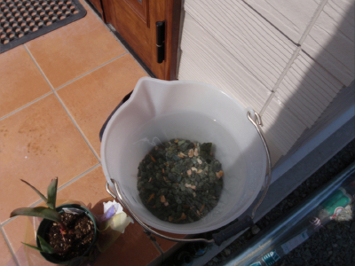 f0209204_23325179.jpg