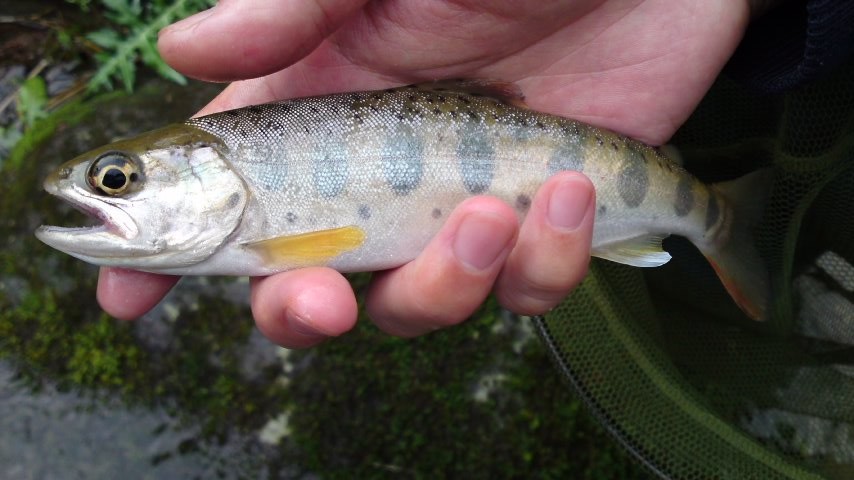 b0143805_5263485.jpg