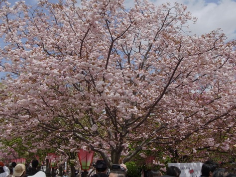 c0205806_19324997.jpg