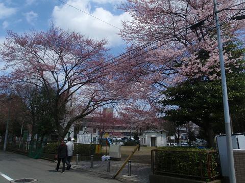 c0209409_1333155.jpg
