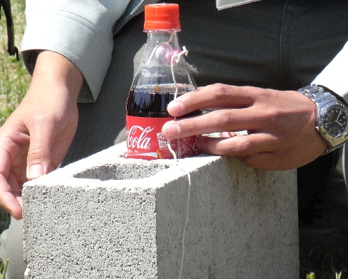 f0006510_2047143.jpg