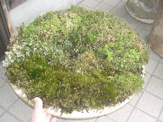 b0125311_16153099.jpg
