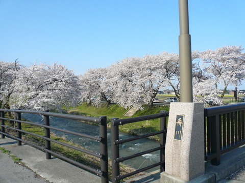 a0026413_10552132.jpg