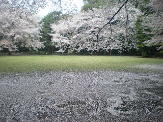 c0188613_11561026.jpg