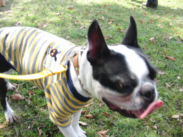 c0220715_2152366.jpg
