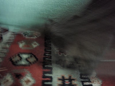 c0145016_9212685.jpg