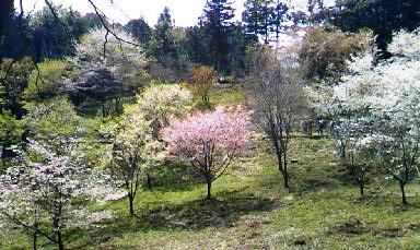 d0024220_22351318.jpg
