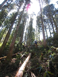 e0002820_18583870.jpg
