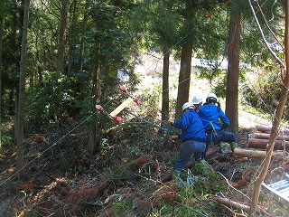e0002820_1921674.jpg