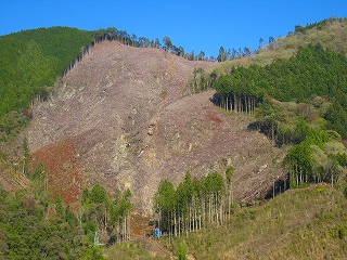e0002820_19619.jpg