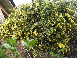 c0204121_236560.jpg