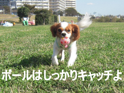 f0214121_2375634.jpg