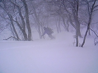f0028123_22271549.jpg