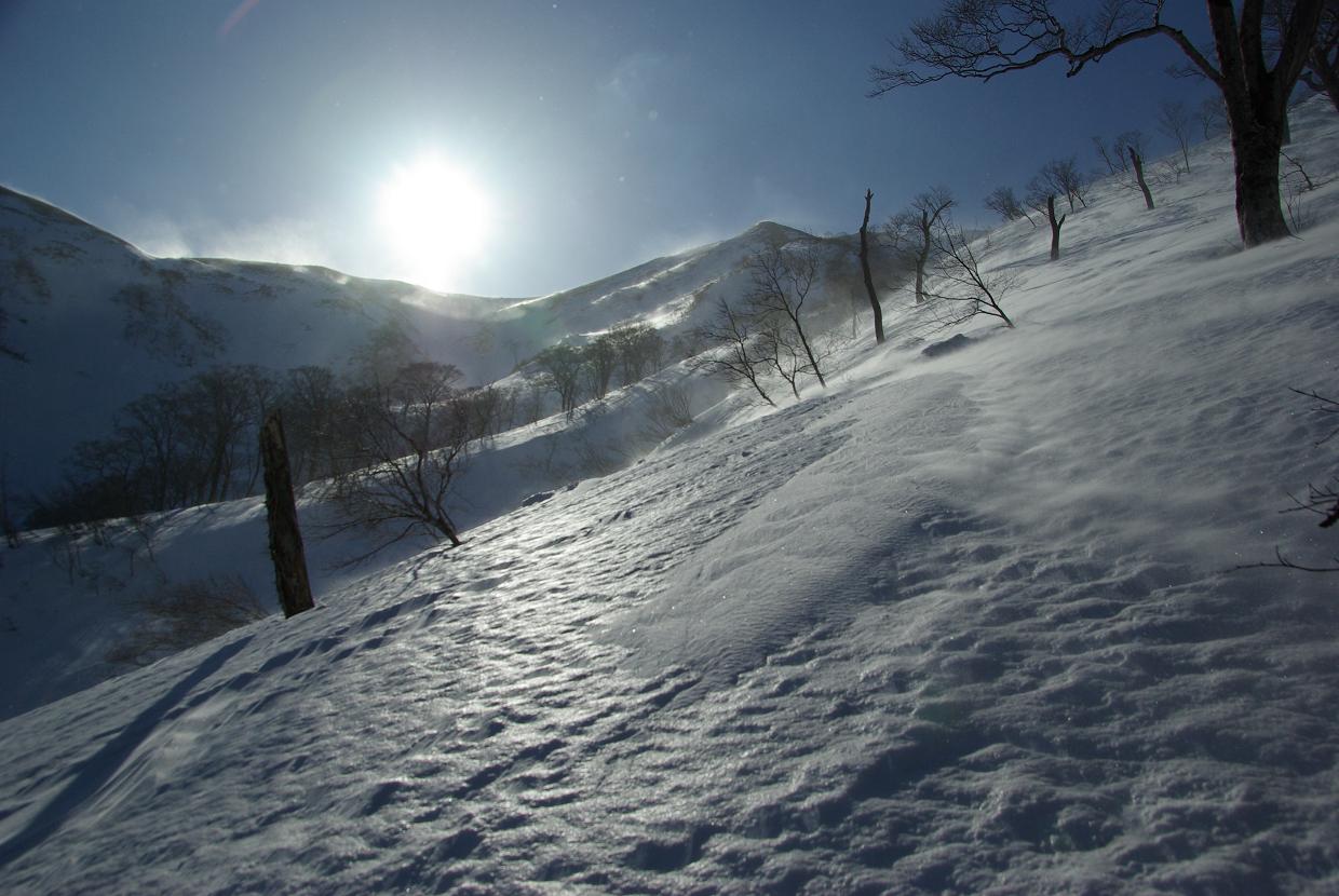b0062024_21374519.jpg