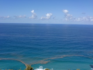 b0076424_0331256.jpg