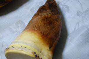 e0068732_22131319.jpg