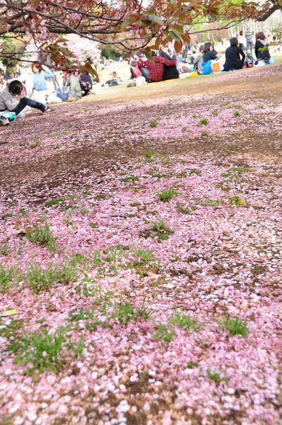 c0133533_21501278.jpg