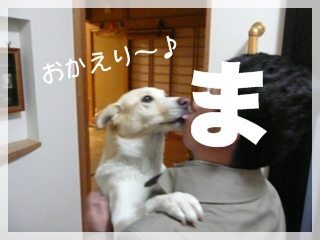 d0140133_13324446.jpg