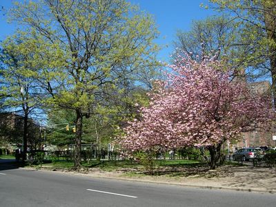 f0200433_1172693.jpg
