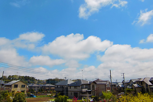 e0044635_1420251.jpg