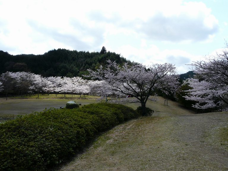 b0116136_2302286.jpg