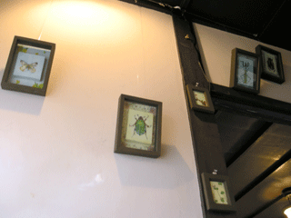 a0116538_213719100.gif