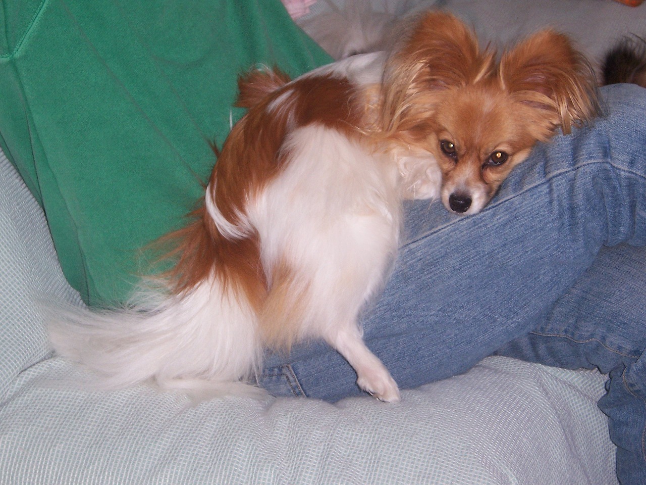 c0048940_23312050.jpg