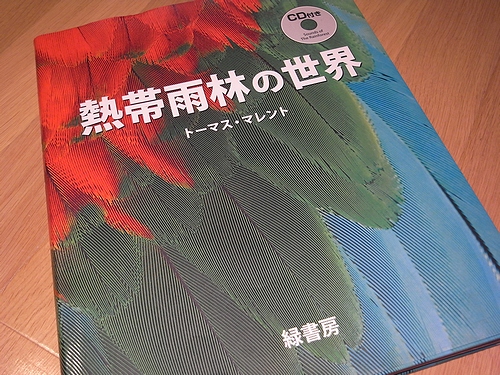e0149241_2244649.jpg