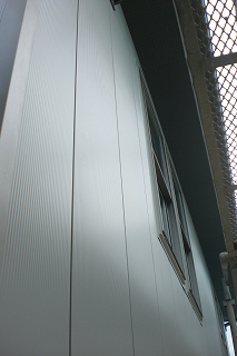 b0082242_1811719.jpg