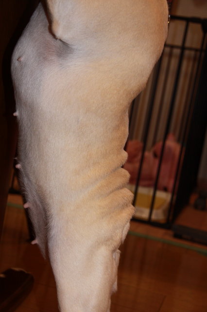 e0169243_2249910.jpg