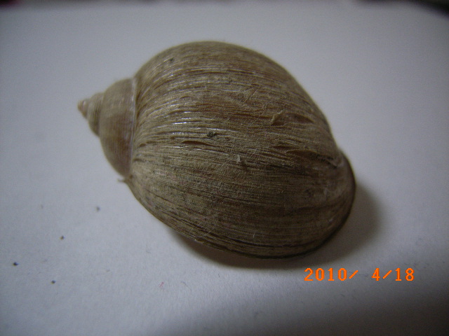 a0157451_20572255.jpg
