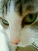 c0052756_1837888.jpg