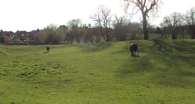 e0010856_537128.jpg