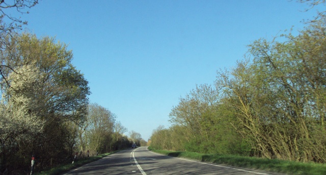 e0010856_6103466.jpg