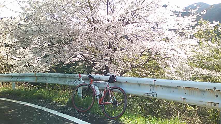 c0105957_1421323.jpg