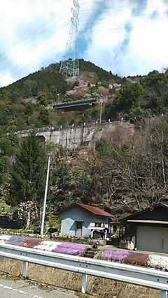 c0105957_1542796.jpg