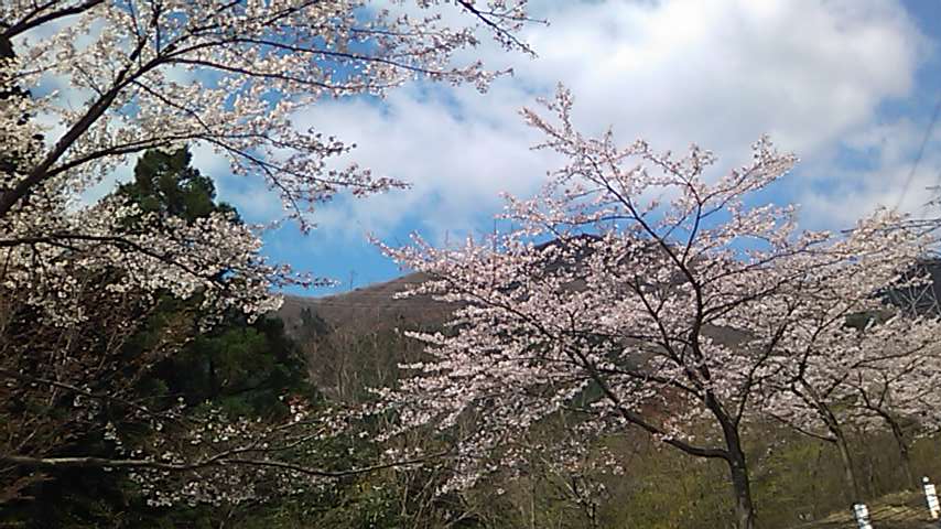 c0105957_1592599.jpg