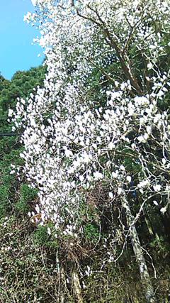 c0105957_177511.jpg