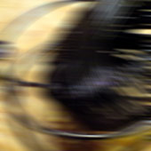 d0029958_19492695.jpg