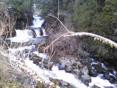 e0066062_0304884.jpg