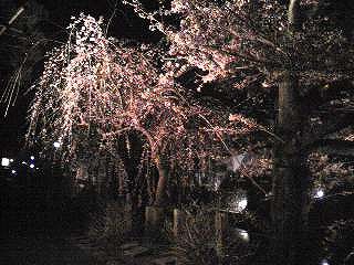 e0066062_0505.jpg