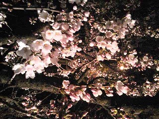 e0066062_051033.jpg